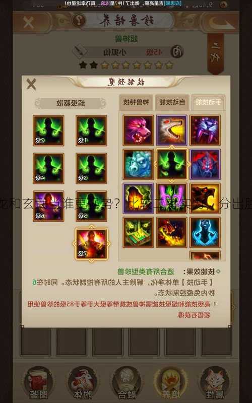 天龙和玄武当谁更强势?比较二者实力,分出胜负