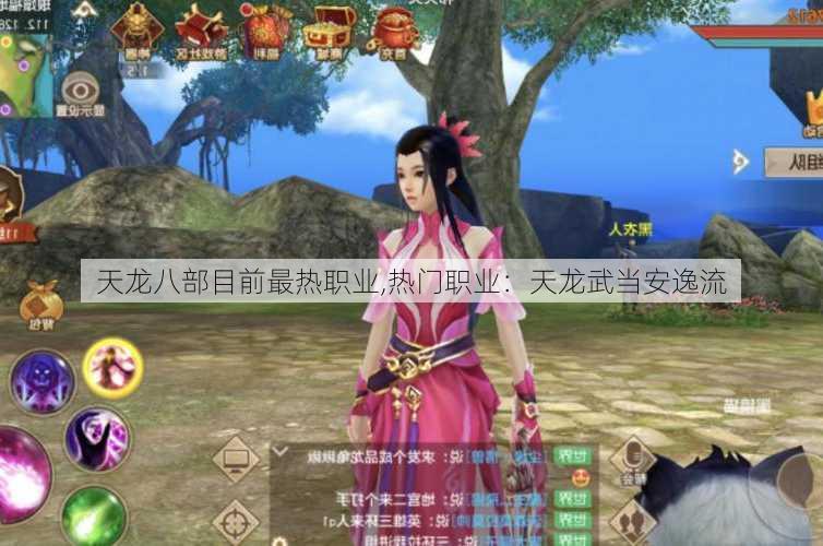天龙八部目前最热职业,热门职业:天龙武当安逸流